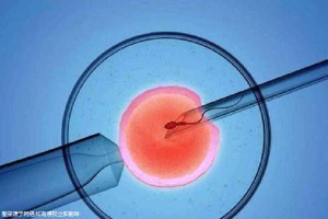 包生男孩公司